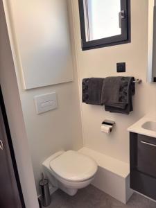 a bathroom with a white toilet and a sink at La parenthèse boisée in La Chapelle-en-Serval +15 photos