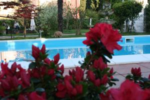 a dog standing next to a swimming pool with red flowers at B&B Desenzano in Desenzano del Garda