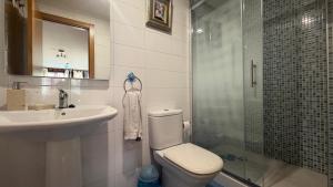 a bathroom with a toilet and a sink and a shower at Ale Galicia in Cambre