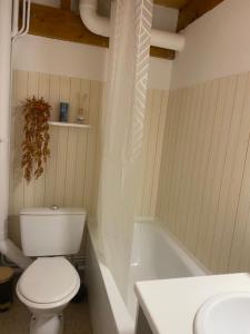 a bathroom with a toilet and a bath tub at Cosy d'Asmae in Ustou +15 photos
