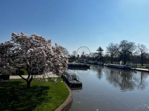 a boat on a river with a tree and a ferris wheel at Enigma Lodge in Stratford-upon-Avon
