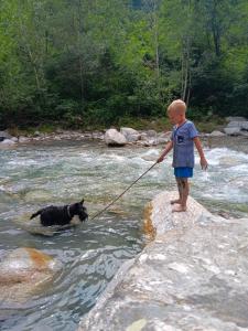 a young boy holding a dog on a leash in a river at Casa Belgeri in Dongio