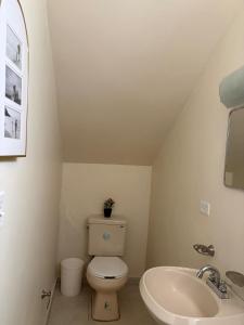 a bathroom with a toilet and a sink at Comfortable 1BR Apartment 10 Min from Malecón in La Paz