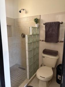 a bathroom with a toilet and a shower at Comfortable 1BR Apartment 10 Min from Malecón in La Paz