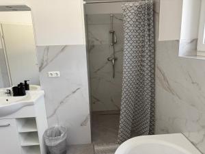 a bathroom with a shower and a toilet at Ferienhaus von Werner in Schlatt