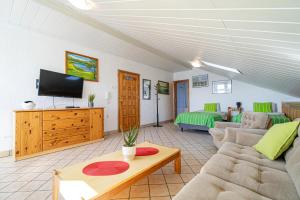a living room with a couch and a tv at Dom Czajka nad Jeziorem Wigry in Stary Folwark