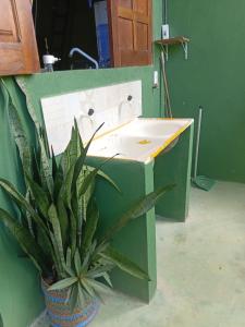 a plant in a pot next to a sink at Recanto BantuArte-Boipeba in Cairu
