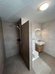 a bathroom with a shower and a toilet and a sink at Seeidylle in Geeste