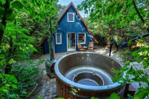 a blue house with a sink in front of it at Cherry garden Cseresznyéskert Vendégház in Dunabogdány