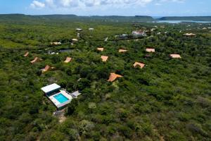 an aerial view of a small house in a forest at Trupial - The green flamingo in Willibrordus