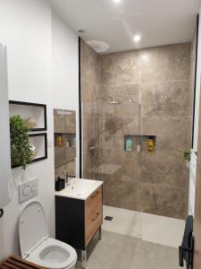 a bathroom with a shower and a toilet and a sink at Jardin De La Sagesse in Sotteville-lès-Rouen
