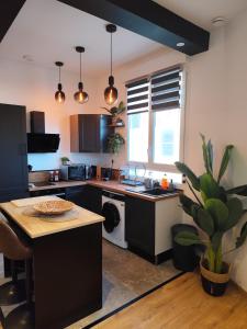 a kitchen with a sink and a dishwasher at Jardin De La Sagesse in Sotteville-lès-Rouen