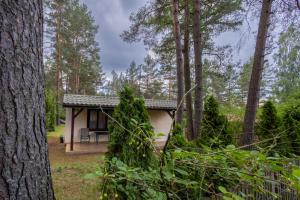 a small cabin in the woods with a tree at Domek w Puszczy in Wiartel