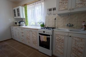 a kitchen with a stove and a sink at Domek w Puszczy in Wiartel