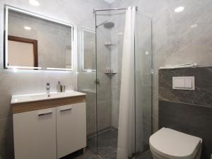 a bathroom with a shower and a toilet and a sink at Vila Mila in Sarajevo