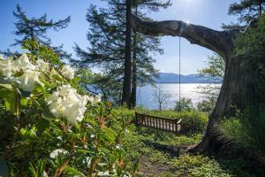 a bench sitting under a tree next to the water at Valhalla The Nest in Vesuvius