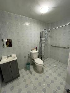 a bathroom with a toilet and a sink and a shower at Oaxaca Express, comodidad y cercania al centro in Santa Lucía