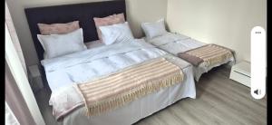 two beds sitting next to each other in a room at Apartament Casa Dia Sibiu in Sibiu +8 photos