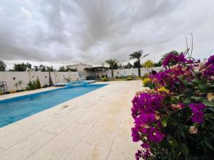 a swimming pool with purple flowers in front of it at شاليه الفهدي in Sphinx International Airport