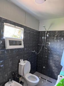 a bathroom with a toilet and a window and a sink at Bujtina Destan Doda in Librazhd