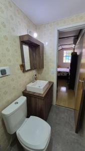a bathroom with a toilet and a sink and a mirror at duplex aconchegante com varanda em condominio in Nova Friburgo +19 photos