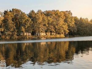 a lake with trees reflecting in the water at Schlaffass direkt am See in Heideblick