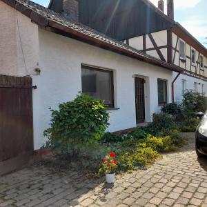 a white house with a window and a plant at Brakel Monteure Ferienwohnung 1 in Brakel