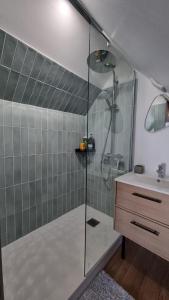 a bathroom with a shower and a sink at La petite maison en champagne in Payns +26 photos