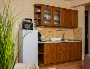 a kitchen with wooden cabinets and a white refrigerator at Fritz Holiday in Siófok