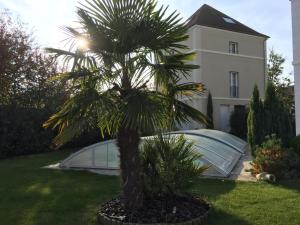 a palm tree in a yard in front of a house at koechi in Magny-le-Hongre