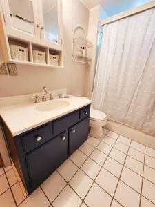 a bathroom with a sink and a toilet at Oneida Lakeside Retreat in Bridgeport +23 photos