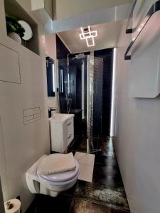 a white bathroom with a toilet and a shower at MonDa apartman in Salgótarján