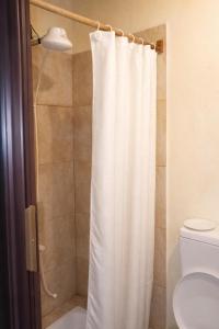 a bathroom with a shower curtain and a toilet at Doña Minina in Posadas +10 photos