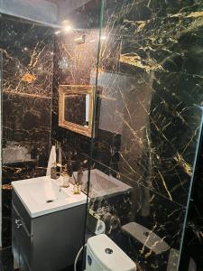 a bathroom with a sink and a mirror and a toilet at Baroque Palace Black Diamond in Arad