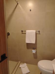 a bathroom with a shower with a toilet and towels at Art Deco 882 in Cuenca +22 photos