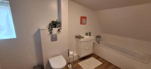 a white bathroom with a toilet and a sink at Cottage in the middle of nowhere 2 in Ölfus