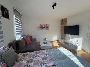 a living room with a couch and a tv at Apartment Irma free parking old town near Bascarsija in Sarajevo