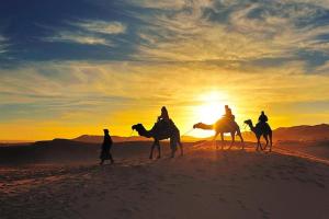 a group of people riding horses in the desert at Riad chak chak suite & spa in Fez +7 photos