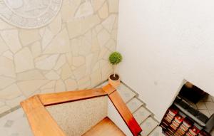a plant in a pot sitting on top of a chair at Hotel La Antigua Express in San Cristóbal de Las Casas
