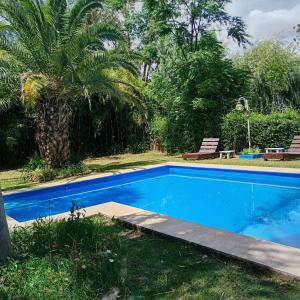 a swimming pool in a yard with a palm tree at La Posada del Sol in Torres