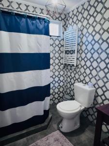 a bathroom with a toilet and a shower curtain at Brumas Patagónicas in El Chalten
