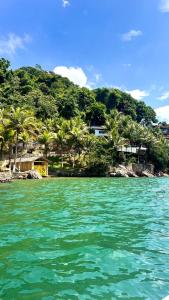 a view of a beach with palm trees and the water at Sítio Pereira in Paraty
