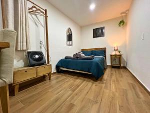 a bedroom with a bed and a television in it at Discover Condesa Ideal Location in Mexico City