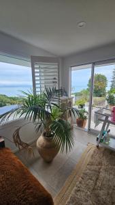 a living room with a potted plant and a large window at Bajo el Sol in Nelson