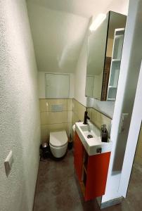 a small bathroom with a toilet and a sink at Garden apartment in Ettlingen +15 photos