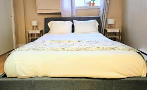 a bedroom with a large bed with two night stands at Bright and Cozy Studio in Riverview