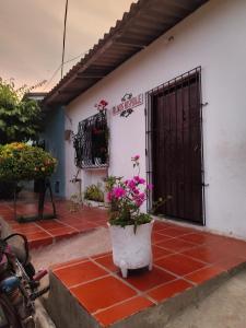 a building with a door with a potted plant in front of it at Casa Hotel Bijaos in Mompós