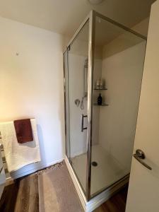 a shower with a glass door in a bathroom at Mapua Village Modern Studio in Mapua +13 photos