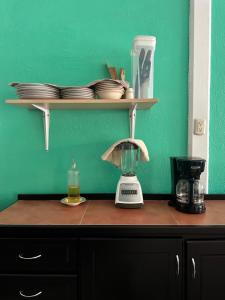 a kitchen counter with a blender and plates on a shelf at Villa Gabriela, Casa Tucan in Liberia