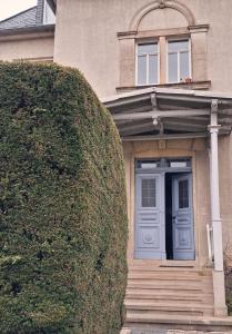 a house with a blue door and a large bush at Villa Taxus-Smokers not welcome in Dresden